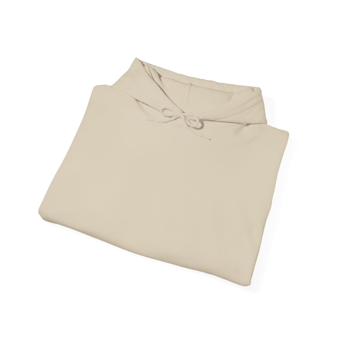Tsinelas Air Hoodie